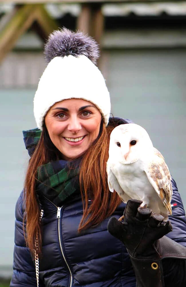 Aillwee-Gallery-Owl-guest